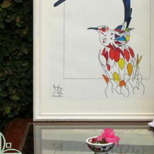 Cuadros Aves Exóticas ©