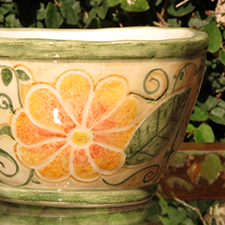 Maceta Enredadera Irlandesa