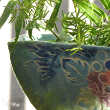 Maceta Racimo de Uvas 🍇