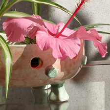 Maceta Calada Fresh Rosa