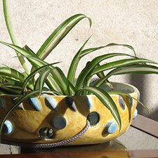 Maceta Calada Fresh Yellow