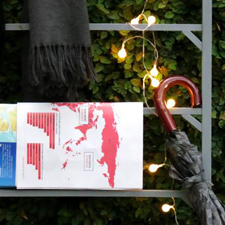 Escalera Organizadora ≣